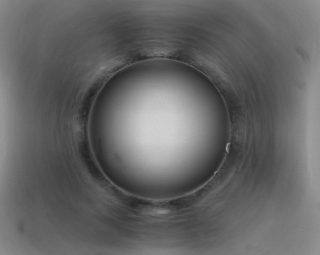 X0000115480743200911061217