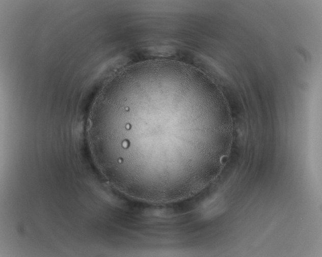 X0000115480745200911061217