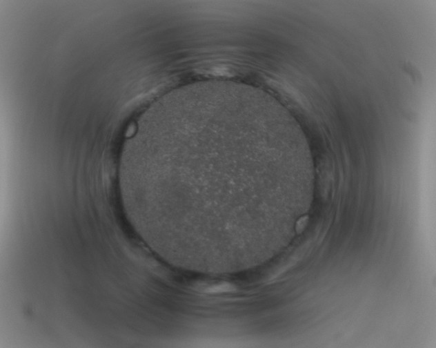 X0000115480747200911061217