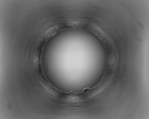 X0000115480749200911061217