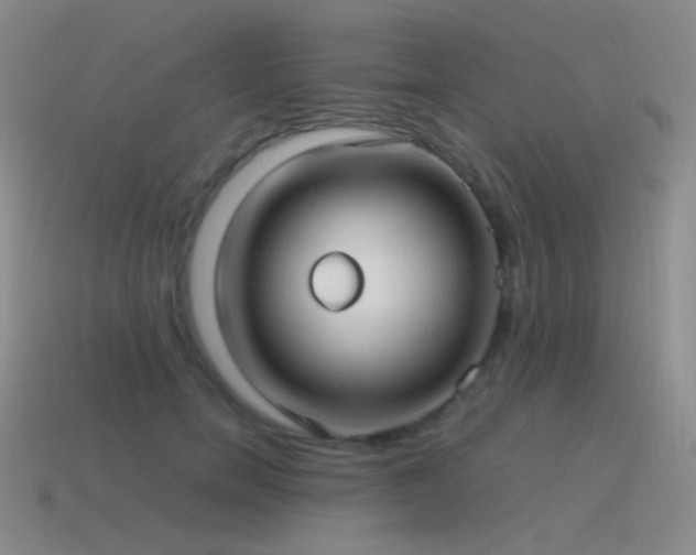 X0000115480750200911061217