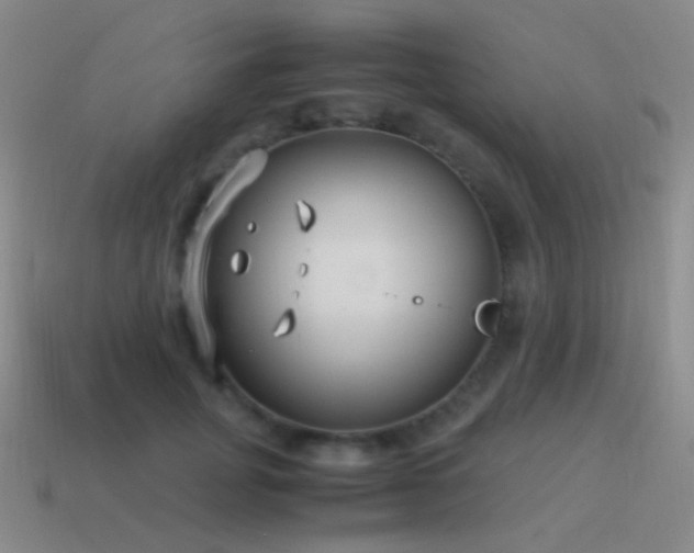 X0000115480751200911061217