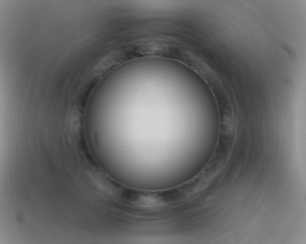 X0000115480753200911061217