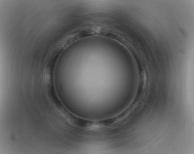 X0000115480754200911061217