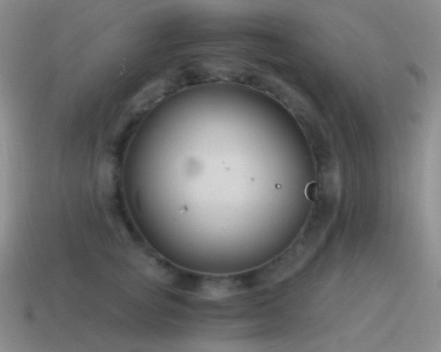 X0000115480757200911061217