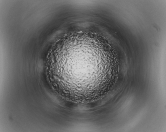 X0000115480758200911061217