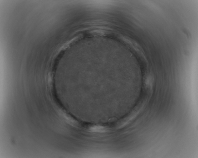 X0000115480759200911061217