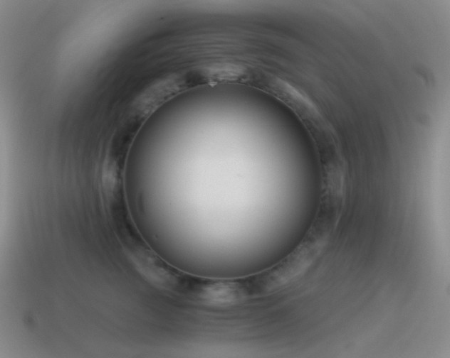 X0000115480761200911061217