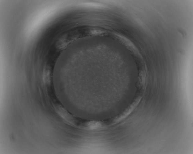 X0000115480762200911061217