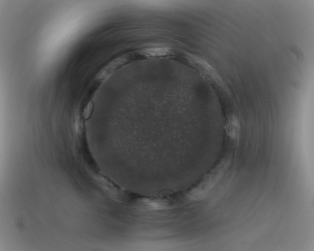 X0000115480763200911061217