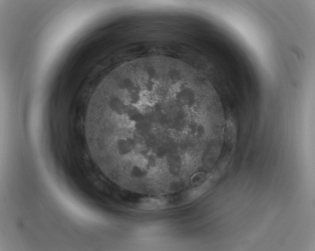 X0000115480765200911061217