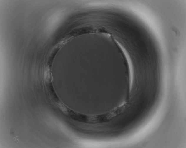 X0000115480766200911061217