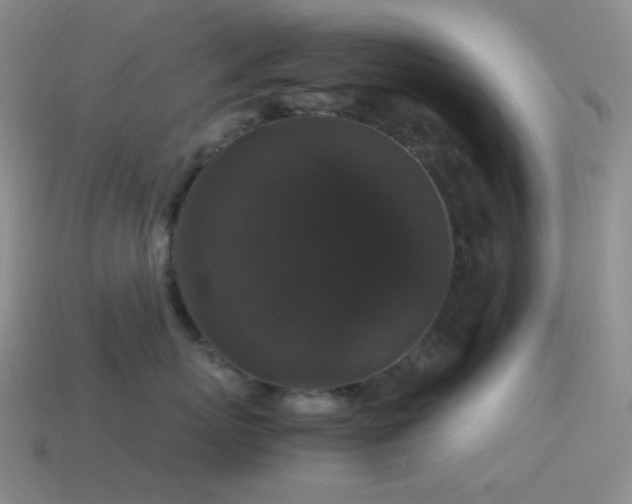 X0000115480767200911061217