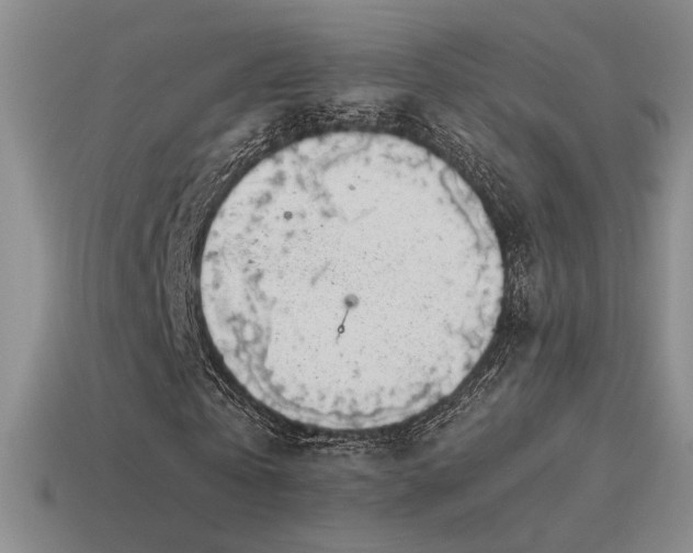 X0000115480769200911061217