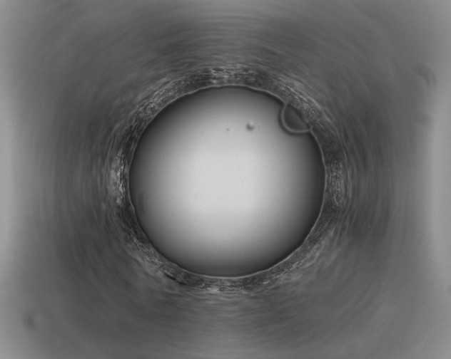 X0000115480770200911061216