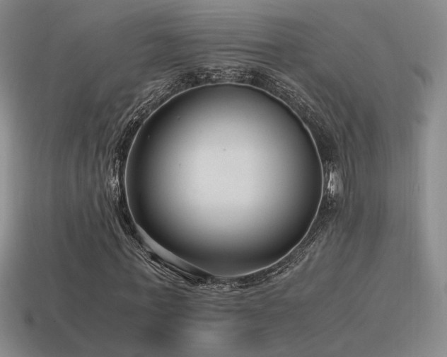 X0000115480771200911061216