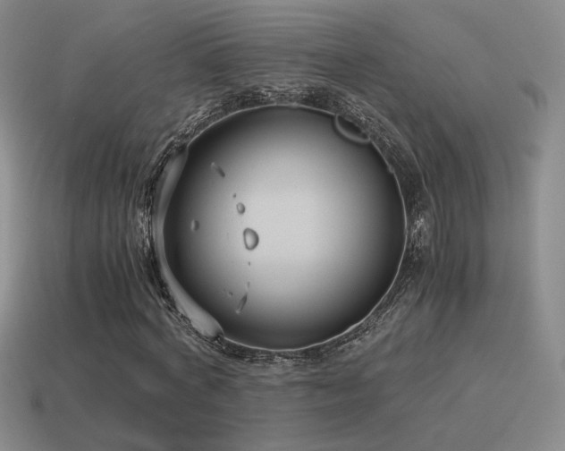 X0000115480772200911061216