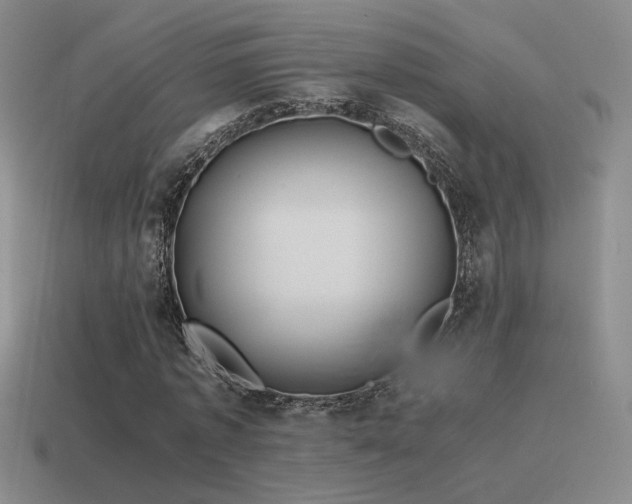 X0000115480773200911061216