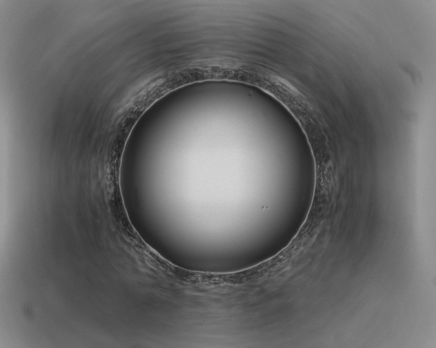 X0000115480774200911061216