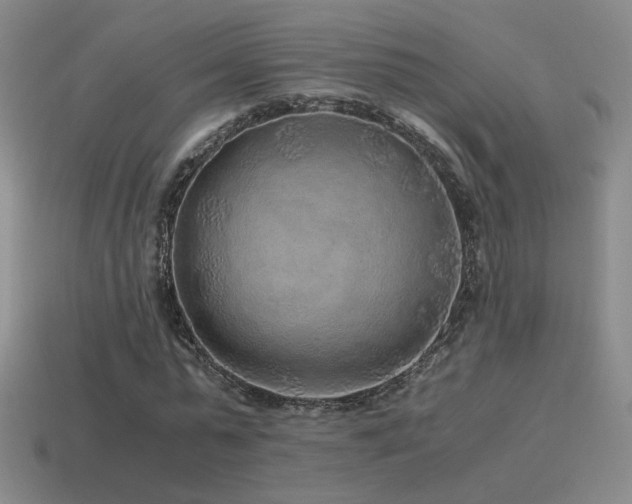 X0000115480775200911061216