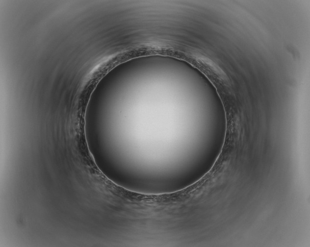 X0000115480776200911061216