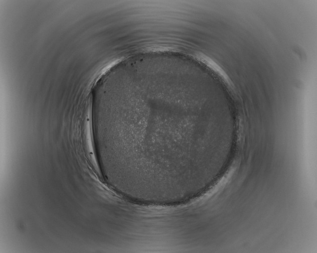 X0000115480777200911061216