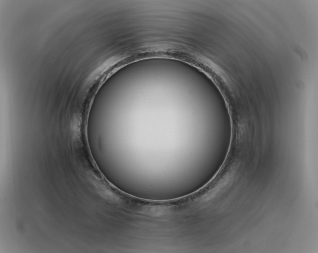 X0000115480778200911061216