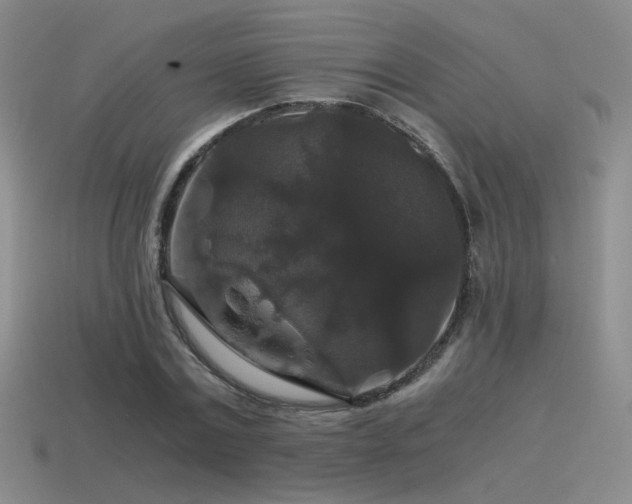 X0000115480779200911061216
