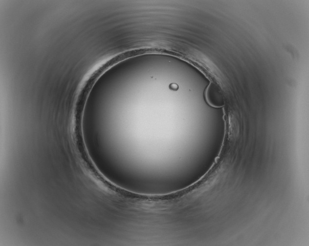 X0000115480780200911061216