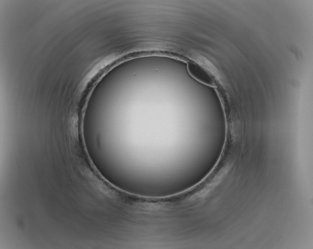 X0000115480781200911061216