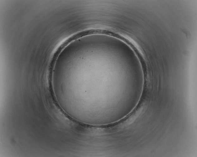 X0000115480783200911061216