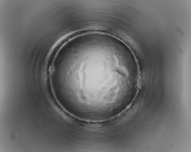 X0000115480784200911061216