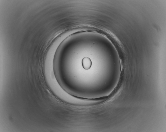 X0000115480785200911061216