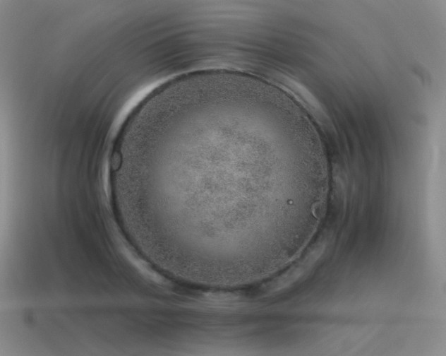 X0000115480788200911061216