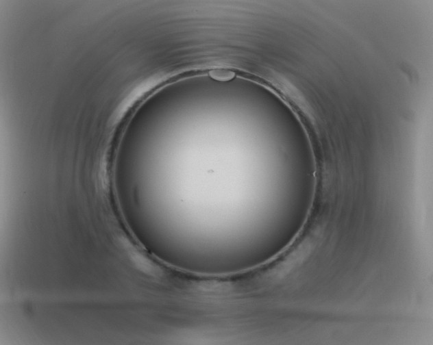 X0000115480789200911061216