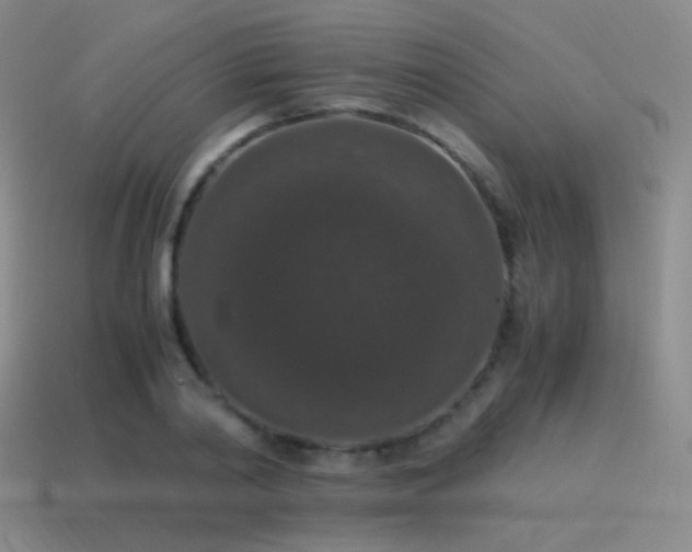 X0000115480790200911061216
