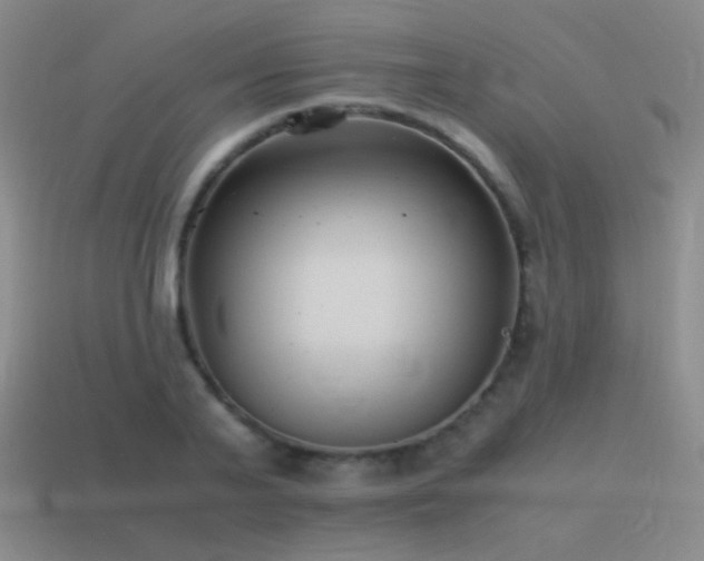 X0000115480791200911061216