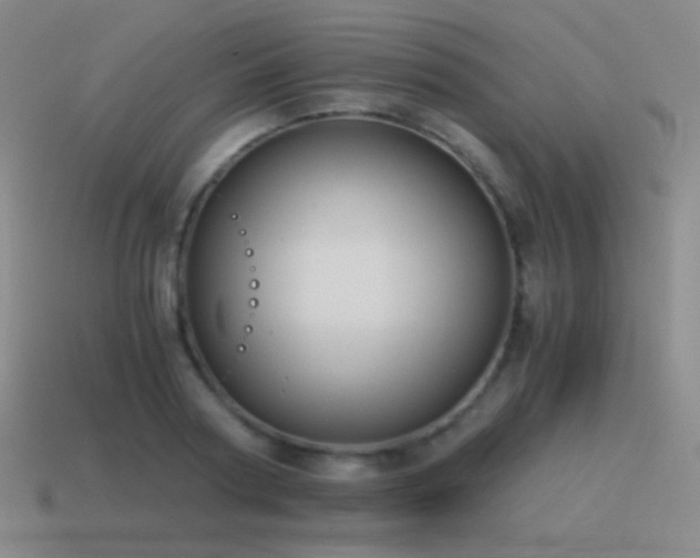 X0000115480794200911061216