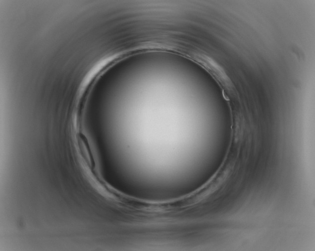 X0000115480796200911061216