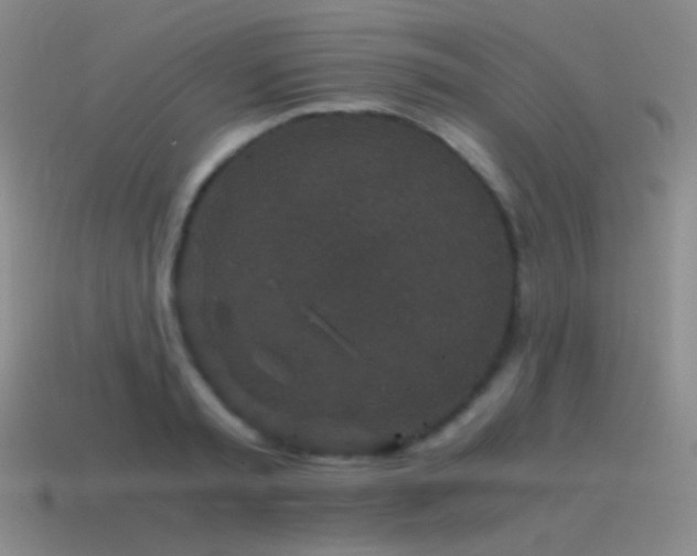 X0000115480797200911061216