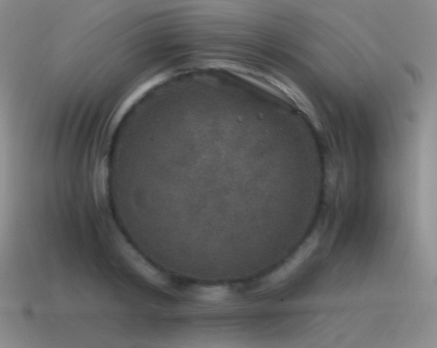 X0000115480798200911061216
