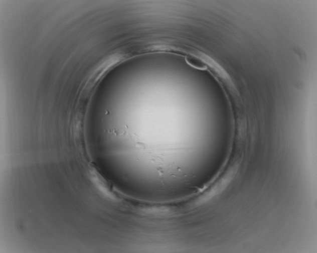 X0000115480801200911061216