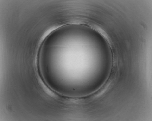 X0000115480803200911061216
