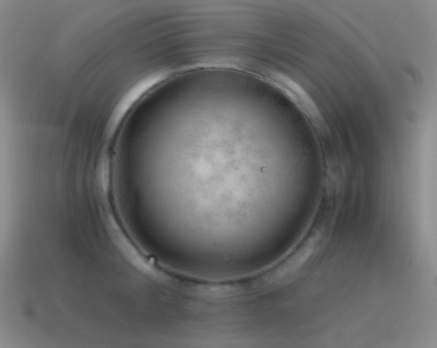 X0000115480804200911061216