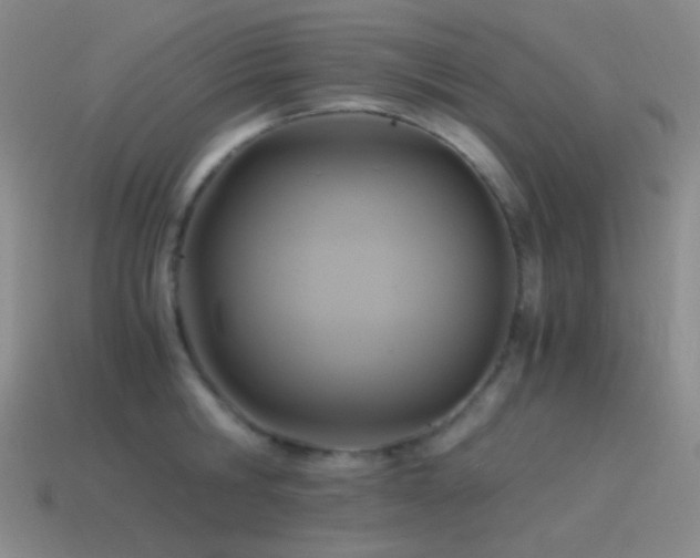 X0000115480806200911061216