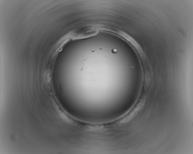 X0000115480809200911061216