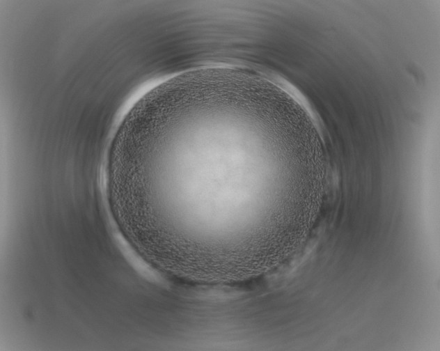 X0000115480811200911061216