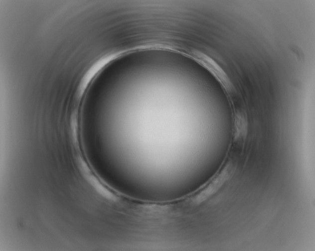X0000115480812200911061216
