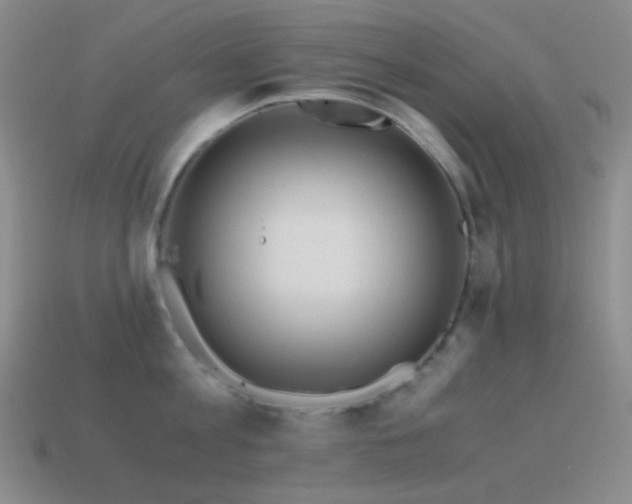 X0000115480813200911061216