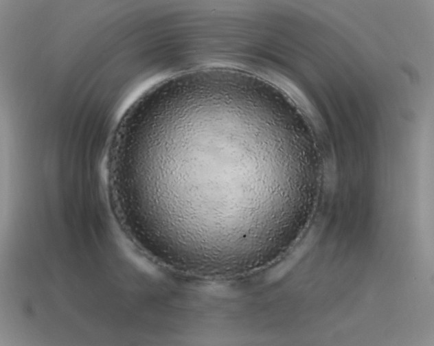 X0000115480814200911061216